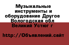 Музыкальные инструменты и оборудование Другое. Вологодская обл.,Великий Устюг г.